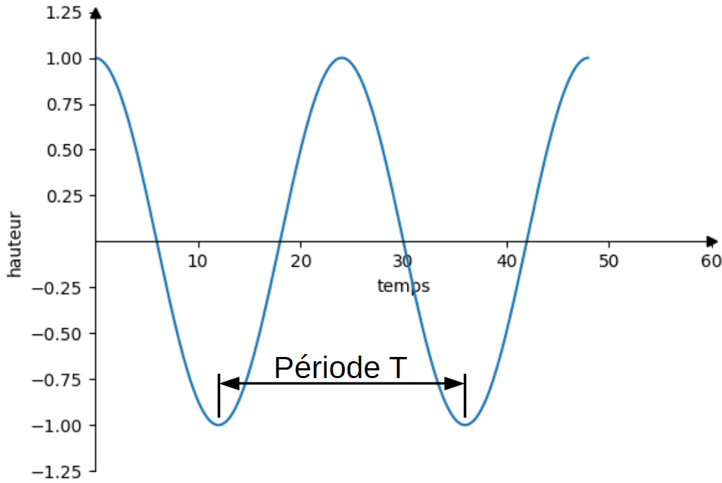 altitude d'un bouchon à la surface de l'eau en fonction du temps